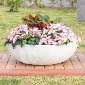 BATEA EUROPEA JVEO75B