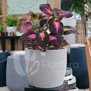 EUROPEA REDONDA JVER33O