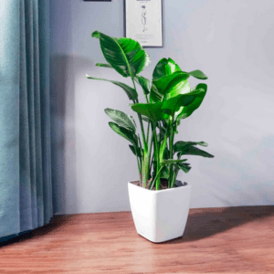 Maceta de Autorriego Cube Air Floor XXL