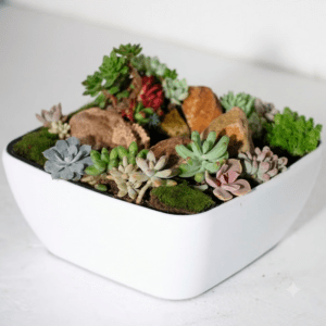 Maceta de Autorriego Cube Bowl L