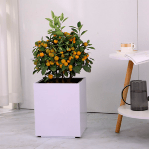 Maceta de Autorriego Cube Grand