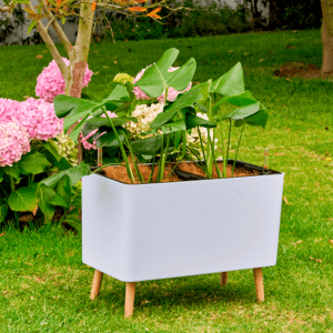 Maceta de Autorriego Wood Box L