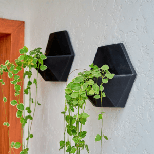 Maceta de Pared Favo 35