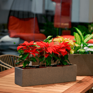 Jardinera Rectangular 57
