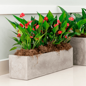 Jardinera Rectangular 67