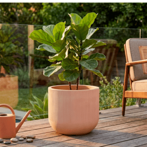 Maceta Fringe Planter Low 36