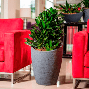 Maceta Modern Conic 38